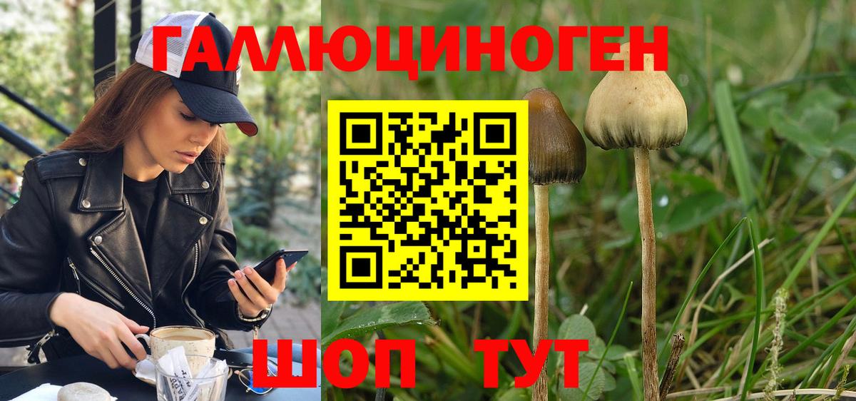 Белово  Галлюциногенные грибы прущие грибы  Вход с VPN  Псилоцибиновые грибы прущие грибы 